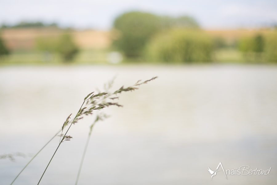 anais-bertrand-photographe-mariage-toulouse-love-session-engagement-couple-famille-2