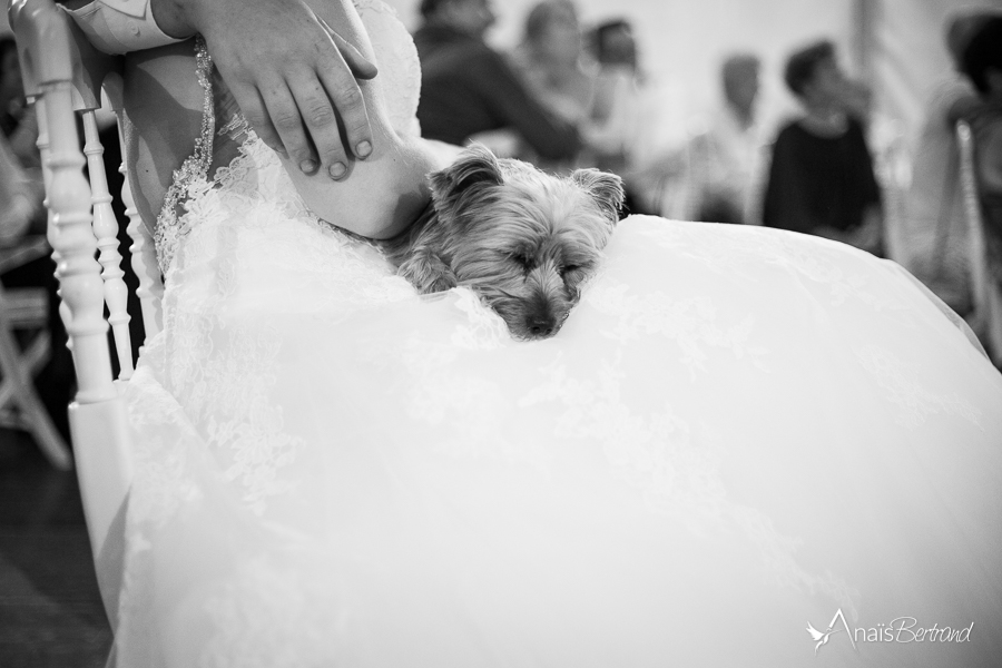 photographe-mariage_c-et-m-anais-bertrand-toulouse-105