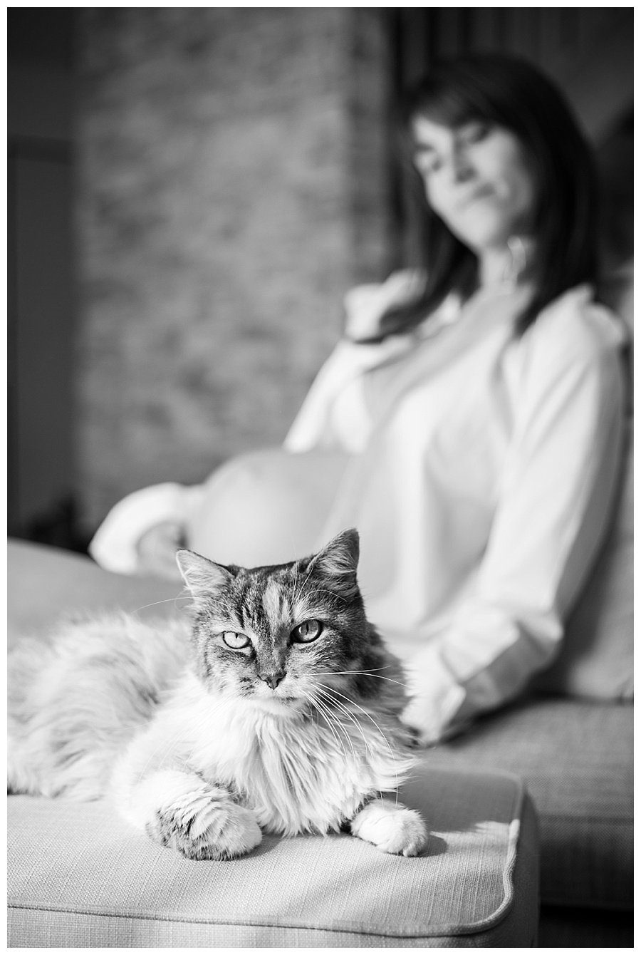 photographe-grossesse-chat-toulouse-anais-bertrand