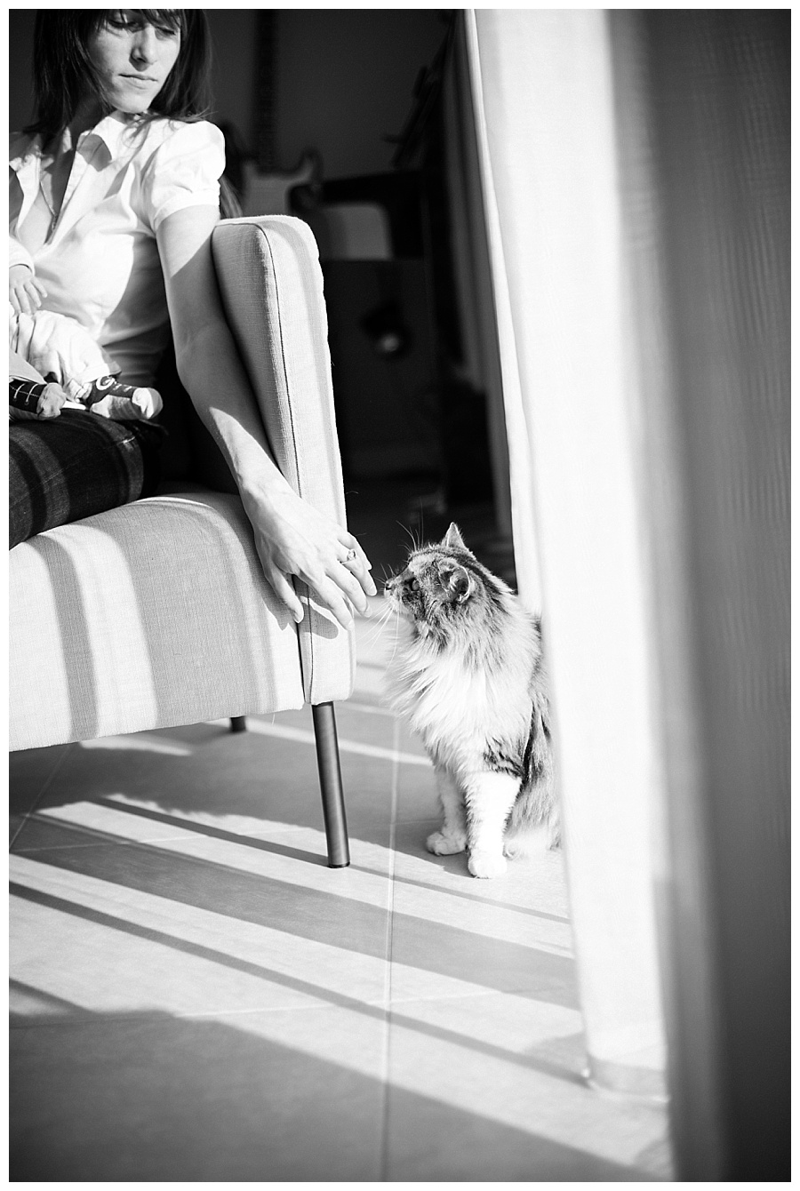 photographe-naissance-toulouse-anais-bertrand-chat